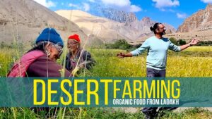 Desert Farming and Ladakhi food