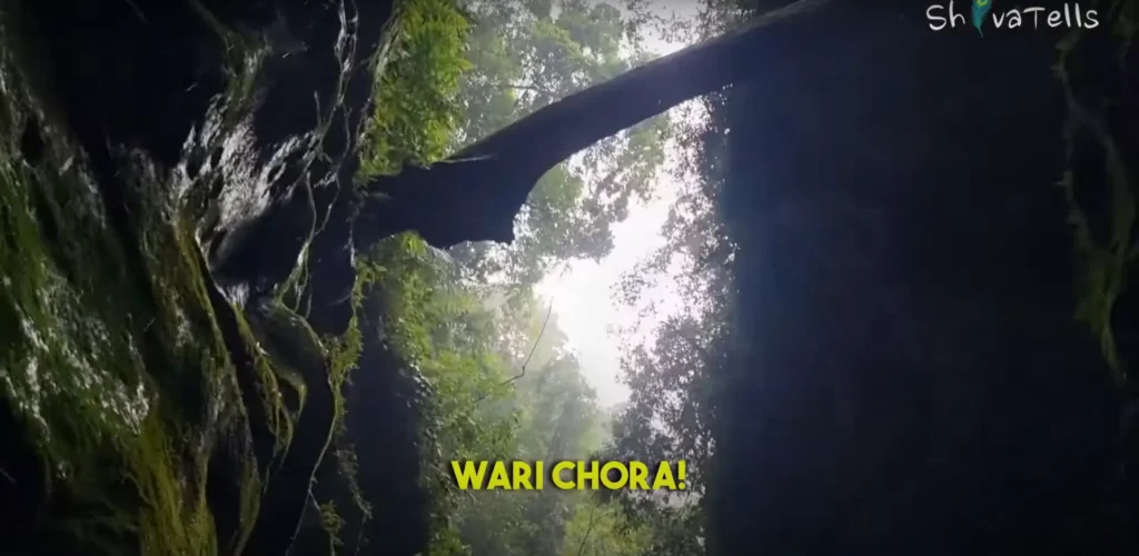 Wari Chora, Maharashtra: Where Waterfalls Roar and Adventure Calls!
