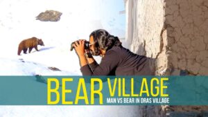 Dras: A Land of Himalayan Brown Bears [Mushkoh Valley]