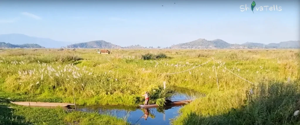 Floating land is most tourist attraction in Loktak Lake 