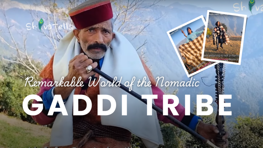 The Remarkable World of the Nomadic Gaddi Tribe of Himachal Pradesh