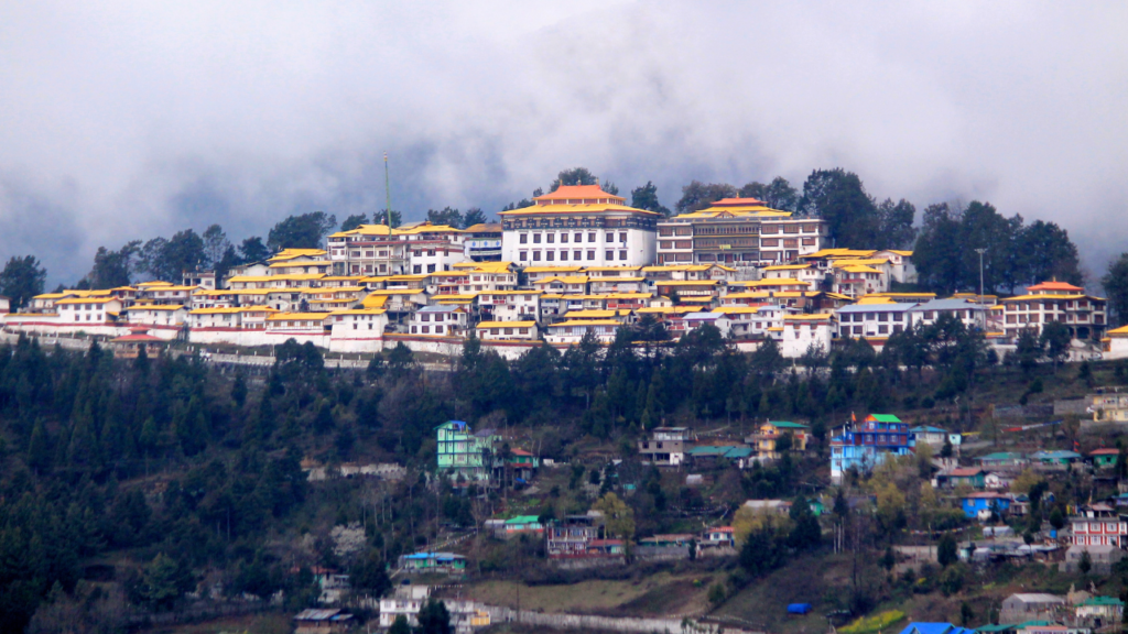 Tsechu Village