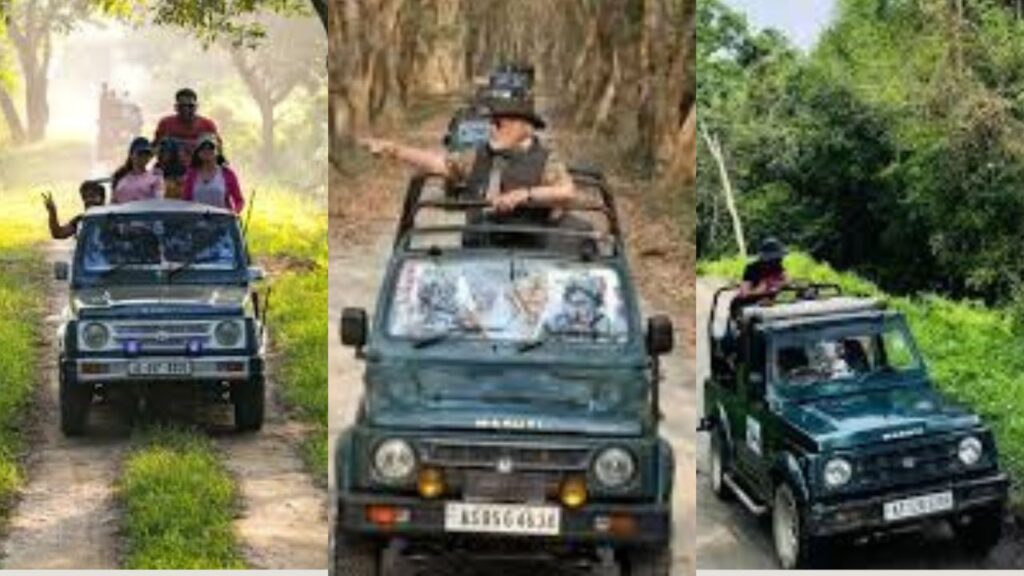 Kaziranga national park jeep safari