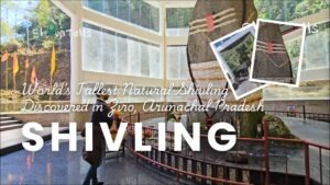 Discovering the World’s Tallest Naturally Formed Shivling in Ziro, Arunachal Pradesh