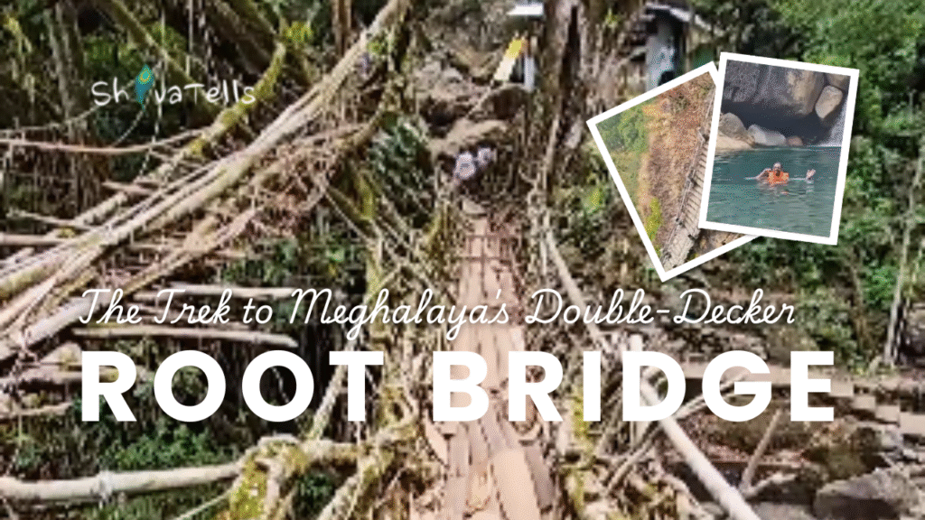 The Trek to Meghalaya's Double-Decker Root Bridge and the Hidden Blue Lagoon