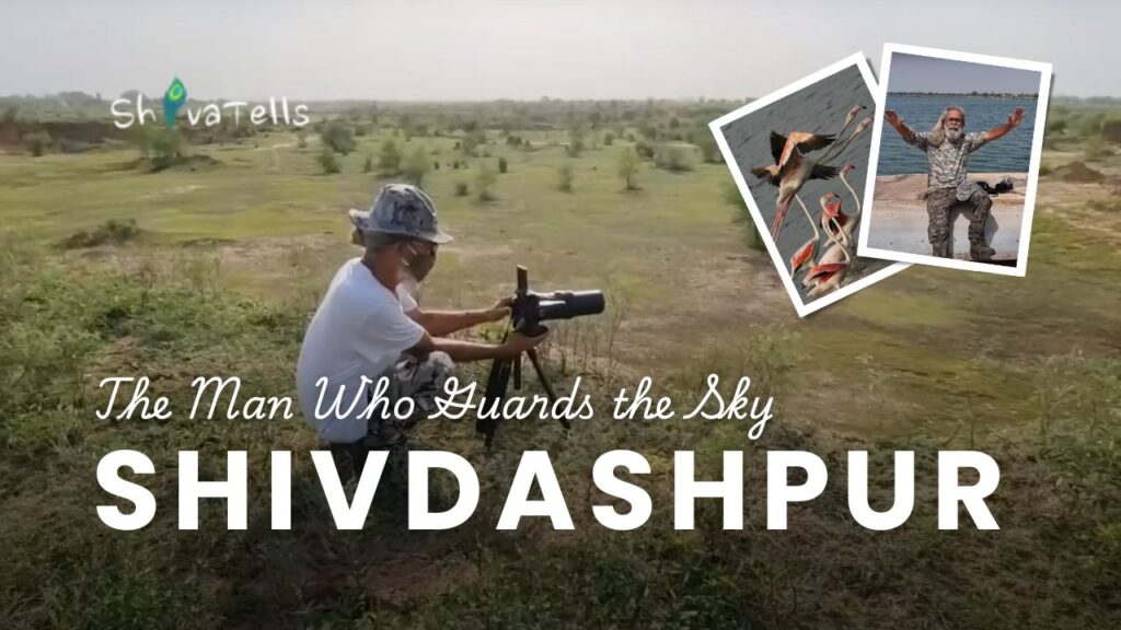 Wings Over Shivdashpur The Man Who Guards the Sky